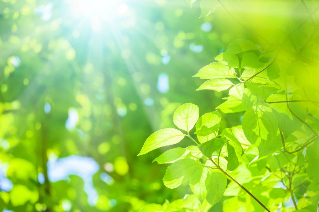 Sustainability