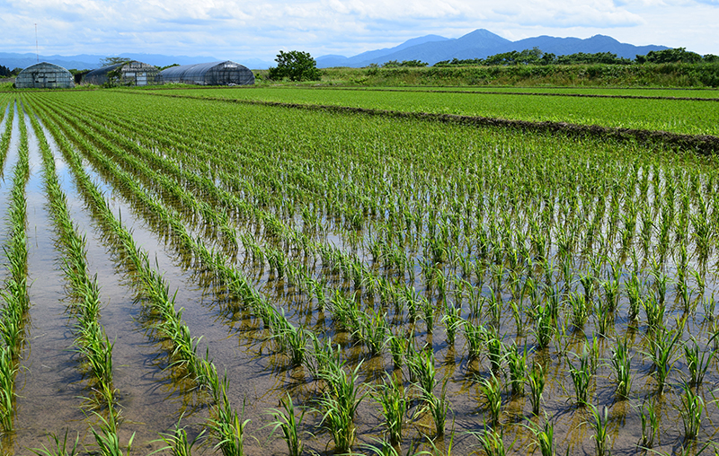 Agritech